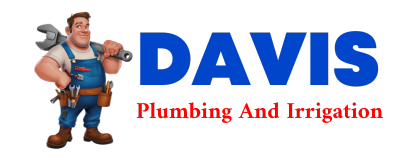 Trusted plumber in NACHUSA